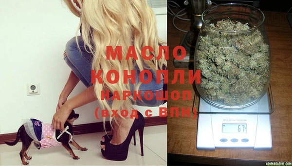 молекула духа Майский