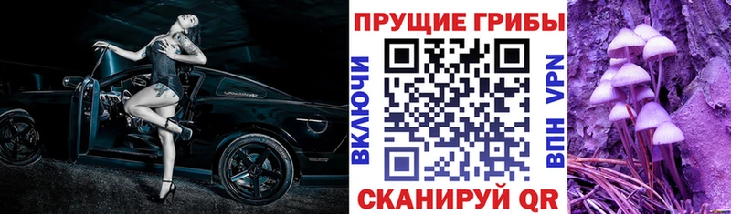 Псилоцибиновые грибы мухоморы сайты даркнета Telegram Нариманов